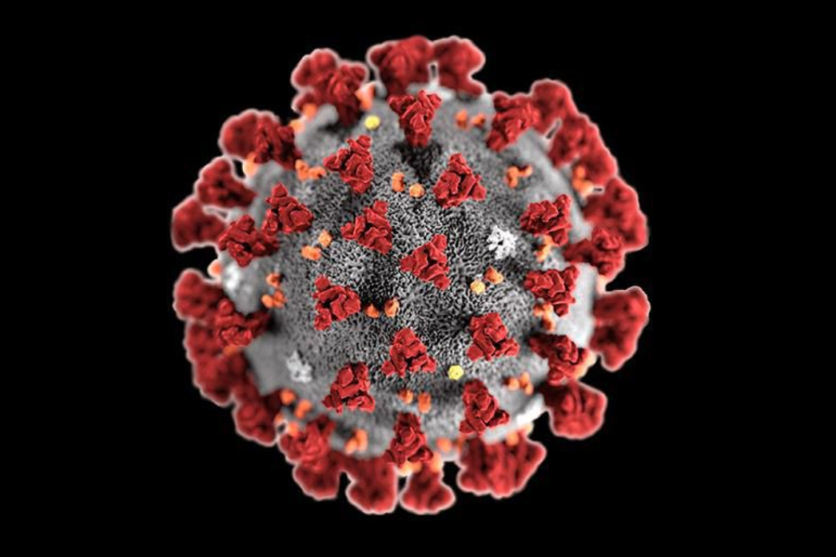 Новый коронавирус COVID-19. Что происходит и чего еще ждать? (данные за период с 3 марта до 20 сентября 2020г)